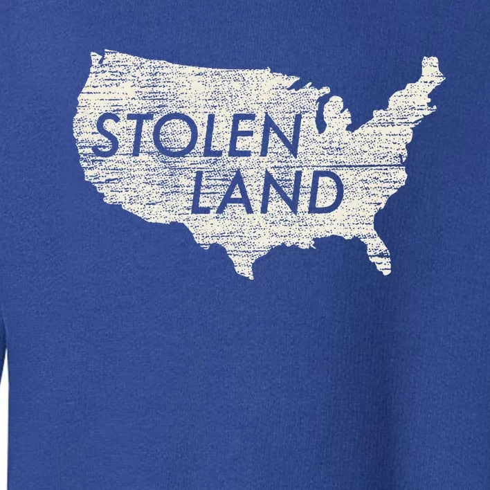 Stolen Land Native American Indigenous Toddler Sweatshirt