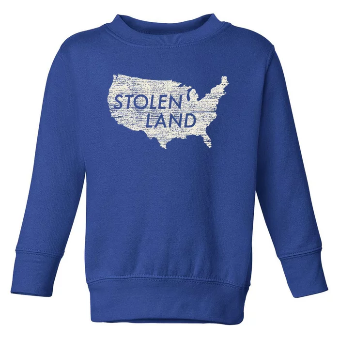 Stolen Land Native American Indigenous Toddler Sweatshirt