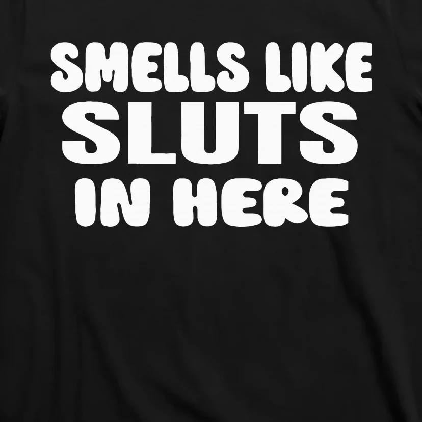 Smells Like Sluts In Here Funny Party Bbq College Frat T-Shirt