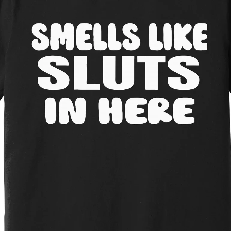 Smells Like Sluts In Here Funny Party Bbq College Frat Premium T-Shirt