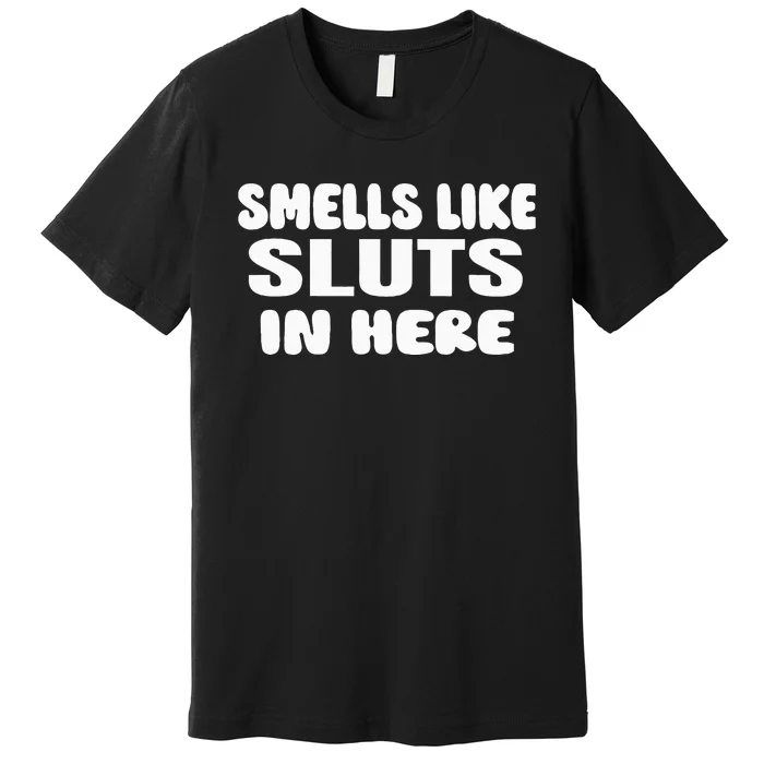 Smells Like Sluts In Here Funny Party Bbq College Frat Premium T-Shirt