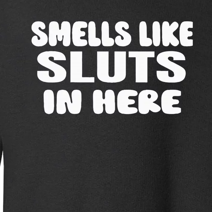 Smells Like Sluts In Here Funny Party Bbq College Frat Toddler Sweatshirt