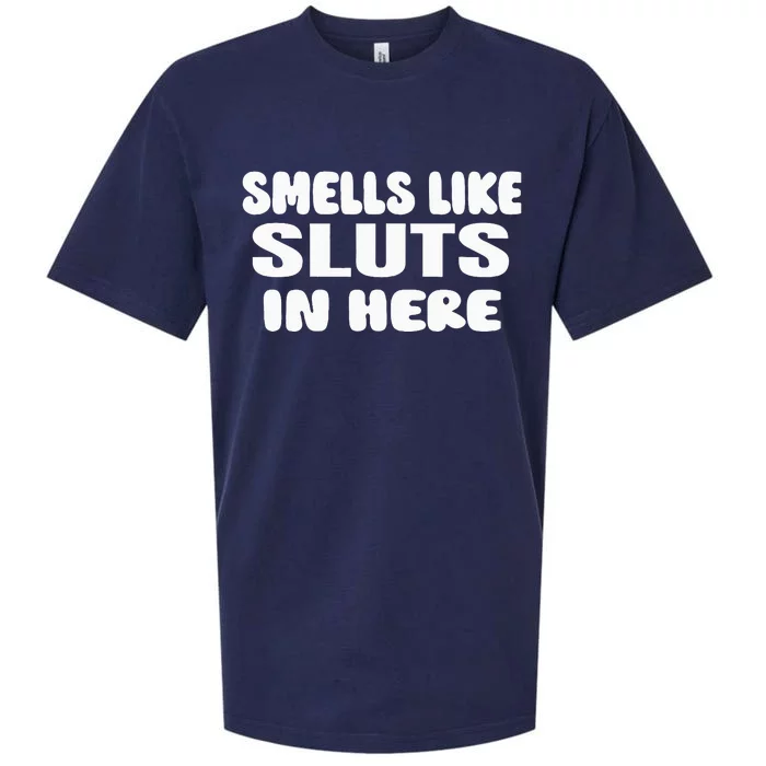 Smells Like Sluts In Here Funny Party Bbq College Frat Sueded Cloud Jersey T-Shirt