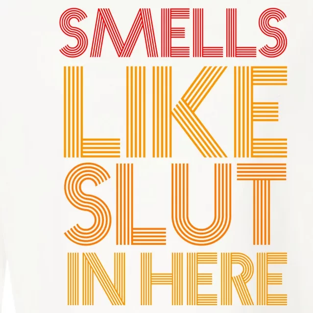 Smells Like Slut In Here Funny Humor Cropped Pullover Crew