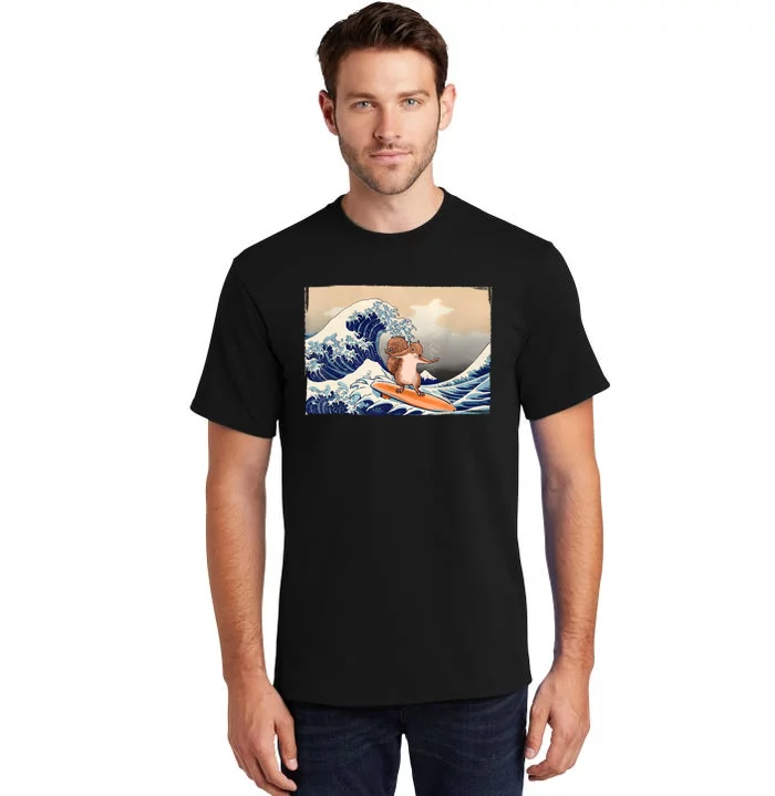 Squirrel Lover Squirrel Art Funny Surf Funny Squirrel Tall T-Shirt