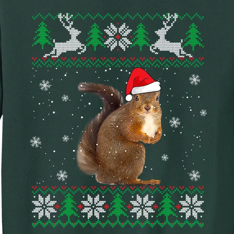 Squirrel Lover Santa Hat Animals Gift For Xmas Sweatshirt