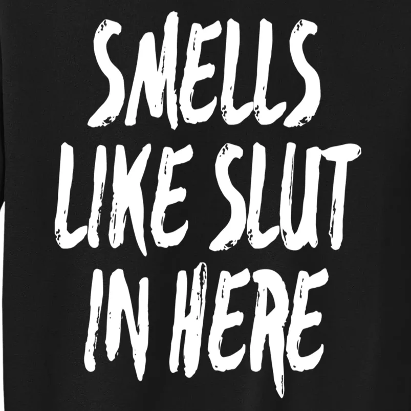 Smells Like Slut In Here Swinger Adult Humor Gift Tall Sweatshirt