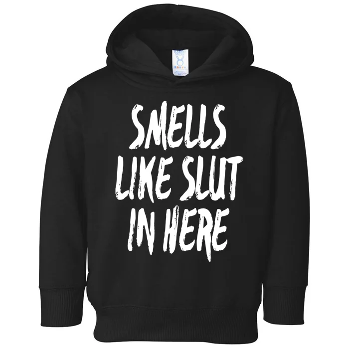 Smells Like Slut In Here Swinger Adult Humor Gift Toddler Hoodie