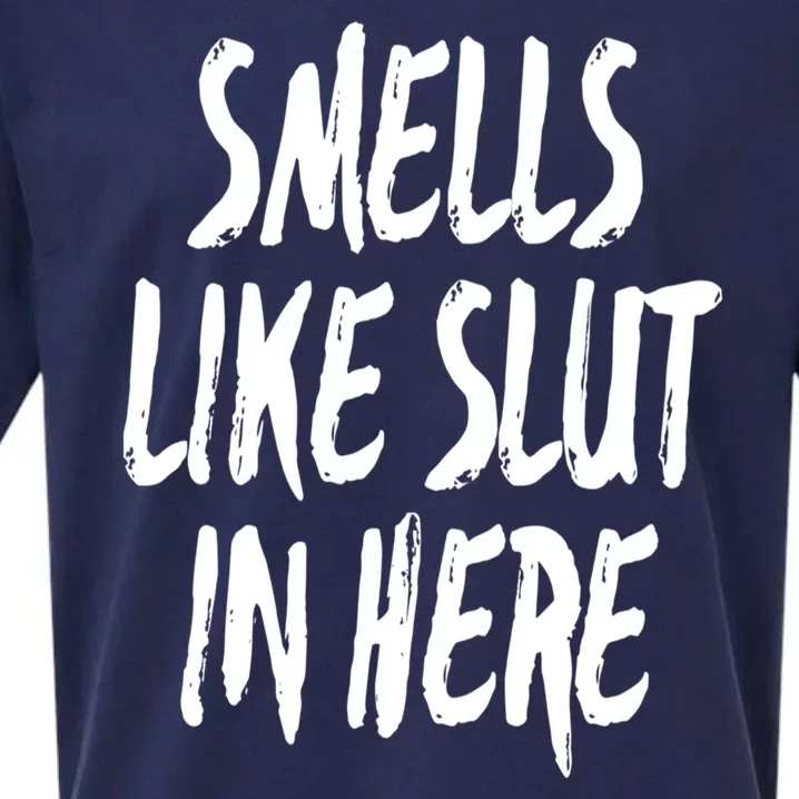 Smells Like Slut In Here Swinger Adult Humor Gift Sueded Cloud Jersey T-Shirt