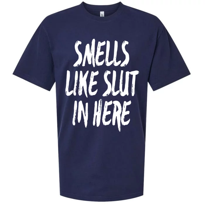 Smells Like Slut In Here Swinger Adult Humor Gift Sueded Cloud Jersey T-Shirt