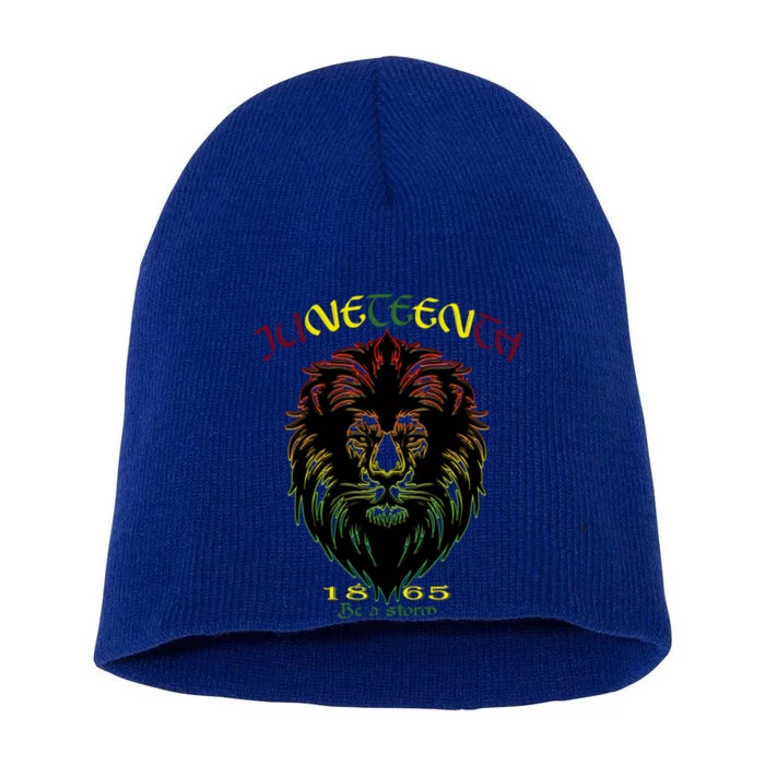 Storm Lion S And S Be A Storm Junenth Gift Short Acrylic Beanie