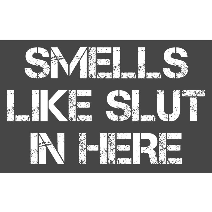 Smells Like Slut In Here Funny Humor Bumper Sticker