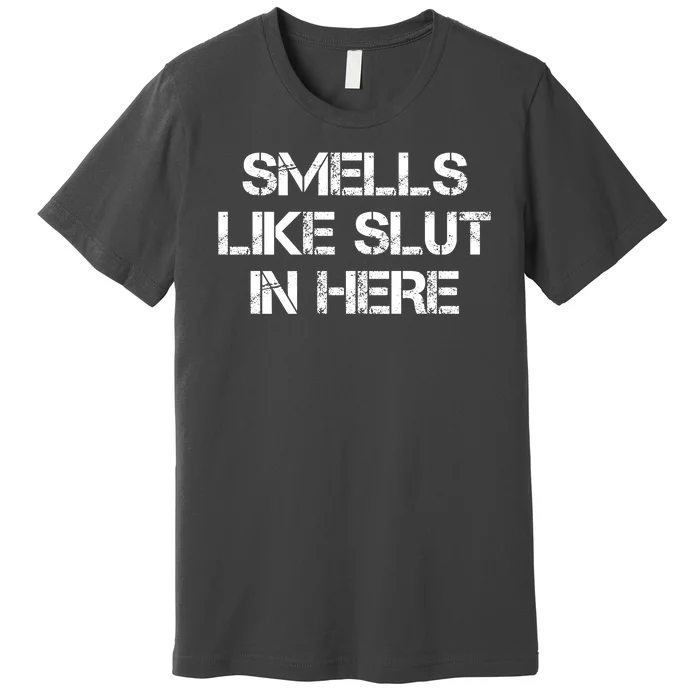 Smells Like Slut In Here Funny Humor Premium T-Shirt