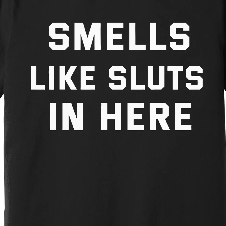 Smells Like Slut In Here Offensive Premium T-Shirt