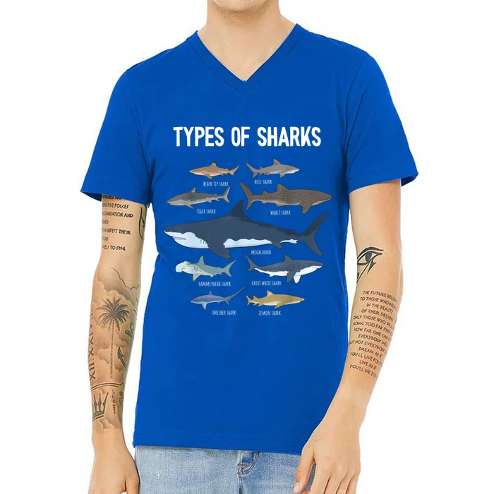 Shark Lover Shirt, Shark Lover Gift, Types Of Shark V-Neck T-Shirt