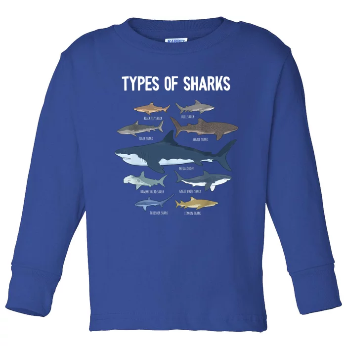 Shark Lover Shirt, Shark Lover Gift, Types Of Shark Toddler Long Sleeve Shirt