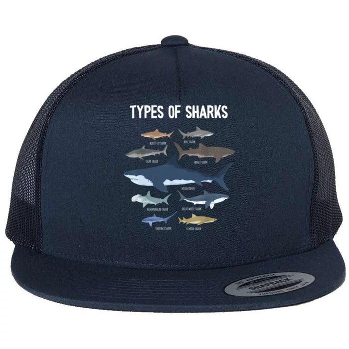 Shark Lover Shirt, Shark Lover Gift, Types Of Shark Flat Bill Trucker Hat