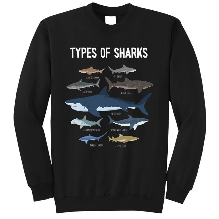 Shark Lover Types Of Sharks Kinds Of Sharks Shark Sweatshirt