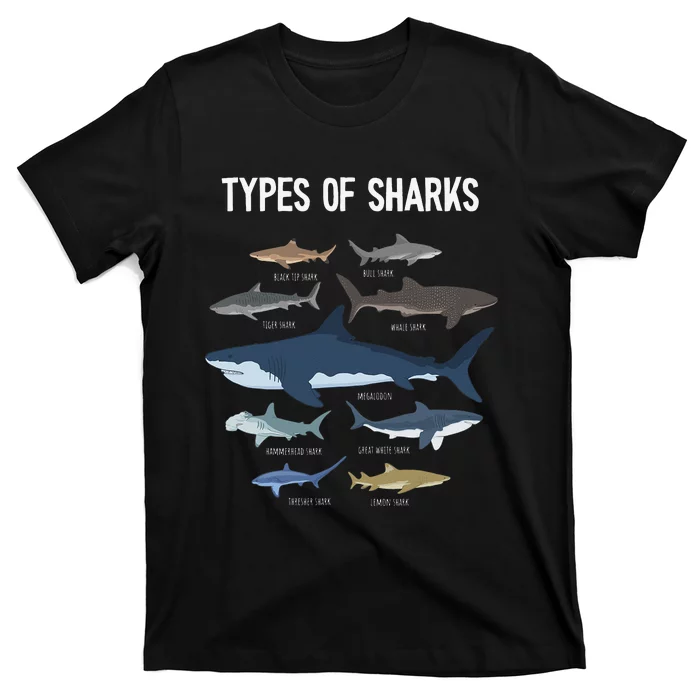 Shark Lover Types Of Sharks Kinds Of Sharks Shark T-Shirt