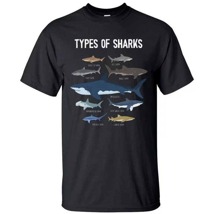 Shark Lover Types Of Sharks Kinds Of Sharks Shark Tall T-Shirt