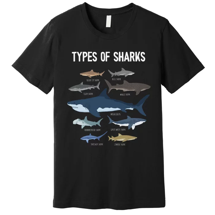 Shark Lover Types Of Sharks Kinds Of Sharks Shark Premium T-Shirt