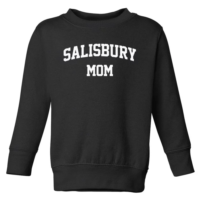 Salisbury Mom Arch College University Font Toddler Sweatshirt