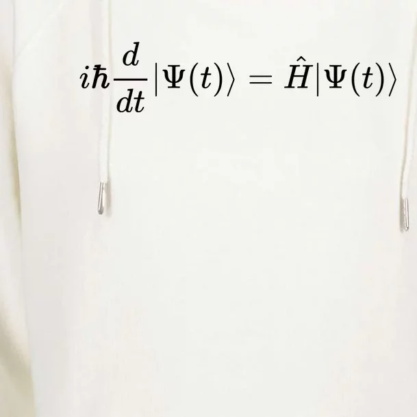 Schrodinger Math And Physics Formula Equation Cute Gift Womens Funnel Neck Pullover Hood