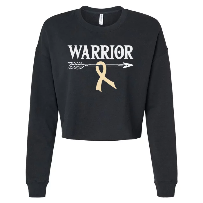 Spinal Muscular Atrophy Warrior Ivory Arrow Ribbon Cropped Pullover Crew