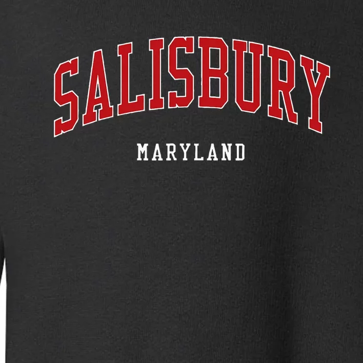 Salisbury Maryland College University Style Toddler Sweatshirt