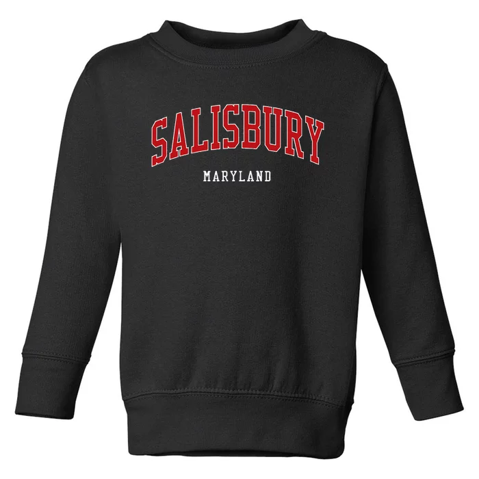 Salisbury Maryland College University Style Toddler Sweatshirt