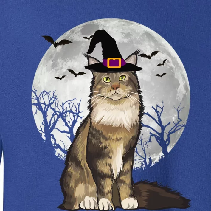 Scary Maine Coon Cat Witch Hat Halloween Gift Toddler Sweatshirt