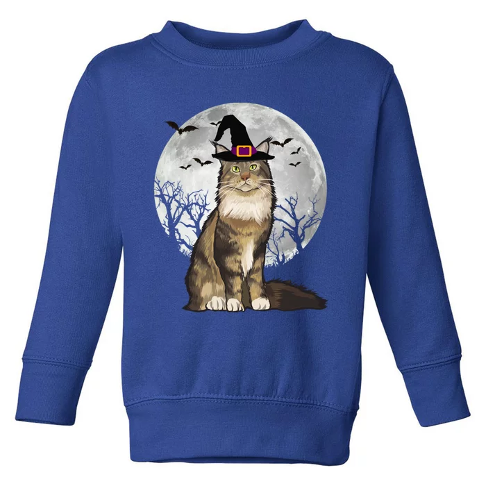 Scary Maine Coon Cat Witch Hat Halloween Gift Toddler Sweatshirt