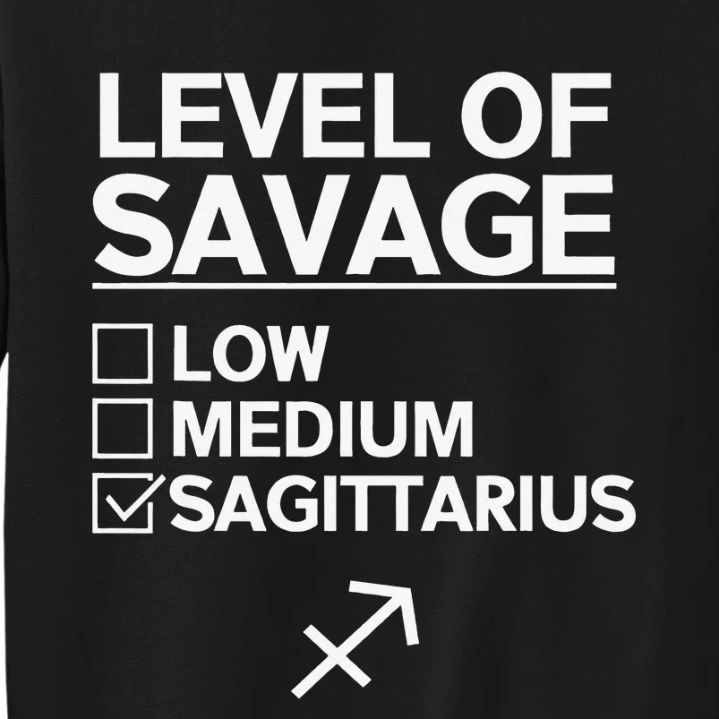 Sagittarius Merch Funny Cute Sagittarius Zodiac Design Sweatshirt