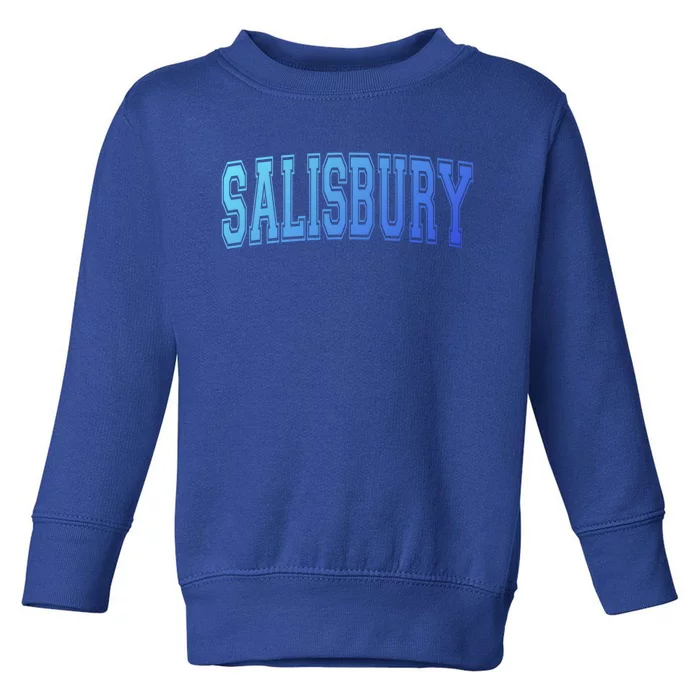 Salisbury Md Maryland Usa Vintage Sports Varsity Style Funny Gift Toddler Sweatshirt