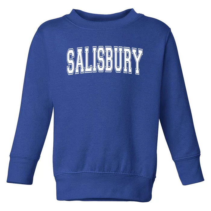 Salisbury Md Maryland Usa Vintage Sports Varsity Style Funny Gift Toddler Sweatshirt