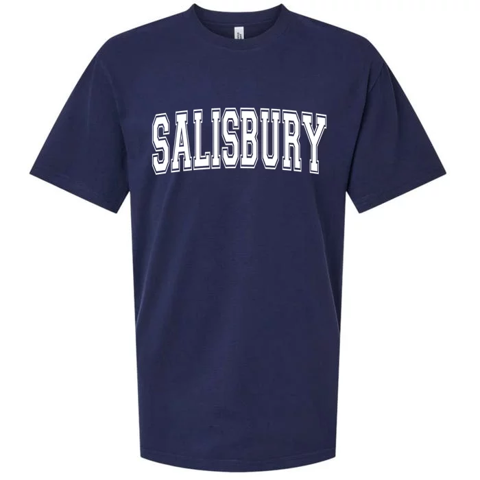 Salisbury Md Maryland Usa Vintage Sports Varsity Style Funny Gift Sueded Cloud Jersey T-Shirt