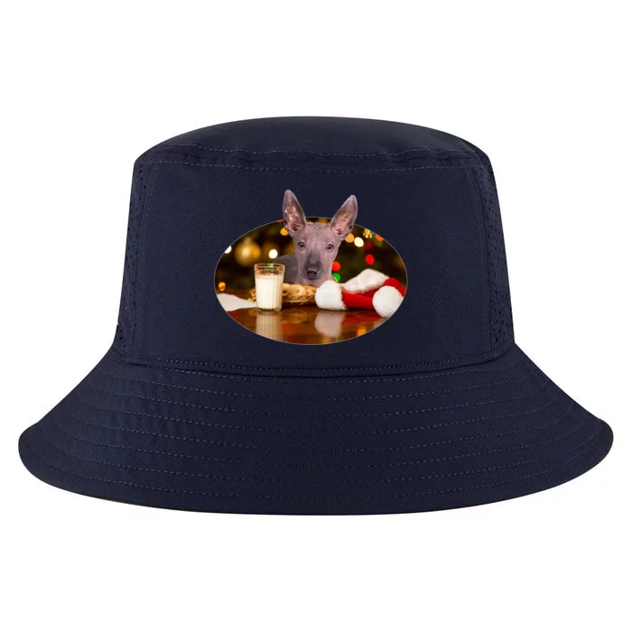 Santa Milk N Cookies Dog Xoloitzcuintli Gift Cool Comfort Performance Bucket Hat