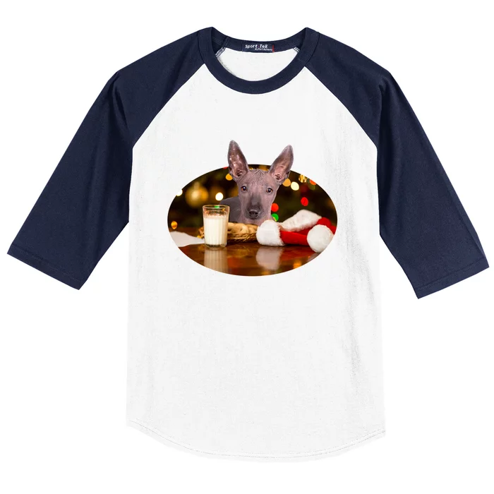 Santa Milk N Cookies Dog Xoloitzcuintli Gift Baseball Sleeve Shirt