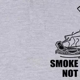 Smoke Brisket Not Meth Softstyle Adult Sport Polo