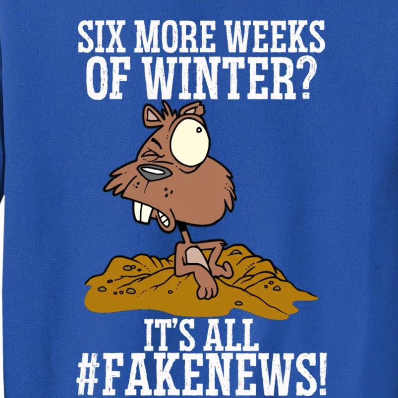 Six More Weeks Fake News Funny Groundhog Day Animal Lover Meaningful Gift Tall Sweatshirt