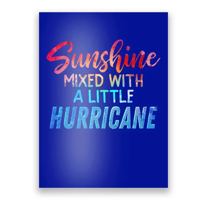 Sunshine Mixed With Little Hurricane Funny Positive Message Gift Poster