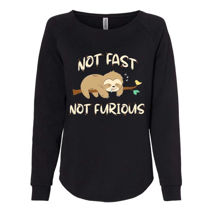 Sloths Not Fast Not Furious Cute Sleeping Sloth Lover Premium Womens California Wash Sweatshirt