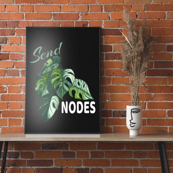 Send Nodes Plant Lovers Monstera Albo Poster