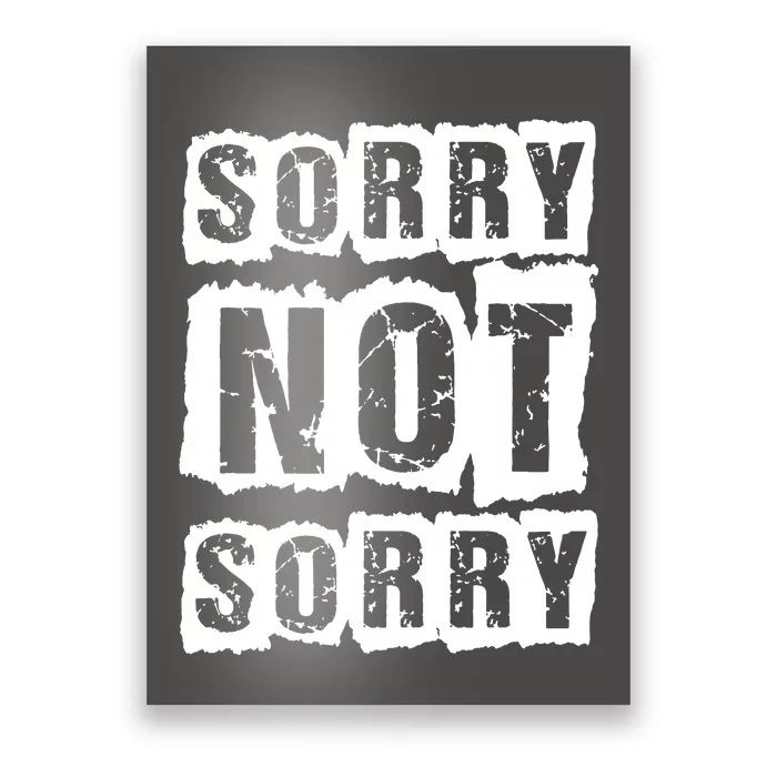 Sorry Not Sorry Poster