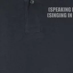 Speaking non-English singing in non-English Softstyle Adult Sport Polo