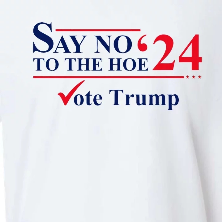 Say No The Hoe Vote Trump 2024 Sueded Cloud Jersey T-Shirt