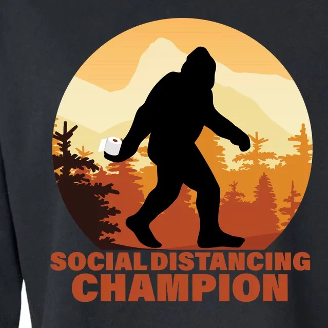 Social Distancing Champion Cropped Pullover Crew