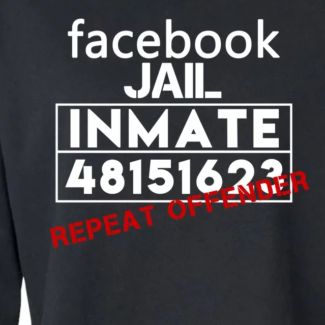 Social Media Jail Inmate Repeat Offender Cropped Pullover Crew