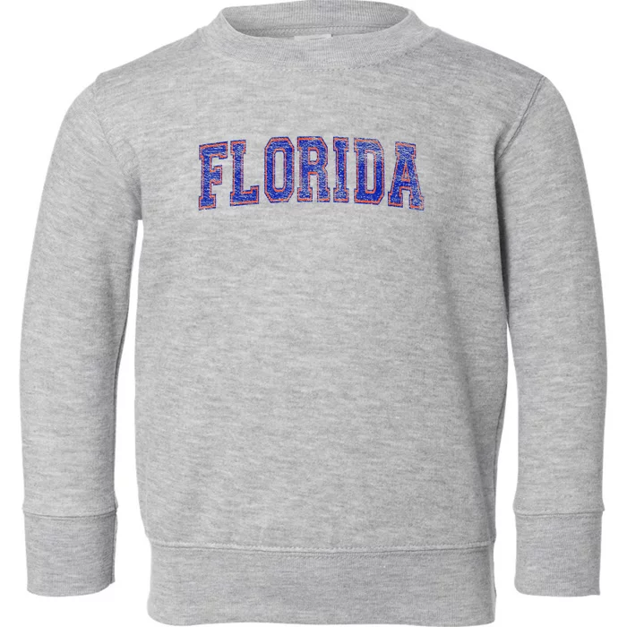 State Of Florida Varsity Blue Weathered Design Toddler Sweatshirt