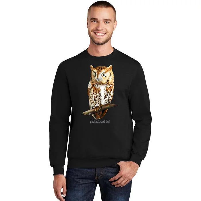 Screech Owl Graphic Birder Wildlife Bird Watching Sweatshirt